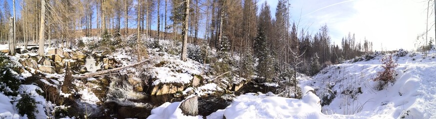 Eine Wanderung zum Achtermann (Achtermannshöhe) im Winter im Harz