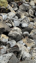 Round Stones Texture