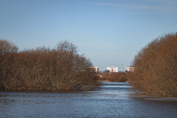 floods covered field, river Lielupe, Jelgava town, Latvia, town houses on other shore