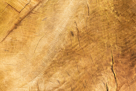 Fototapeta prawdziwe drewniane tło z deski brązowej 