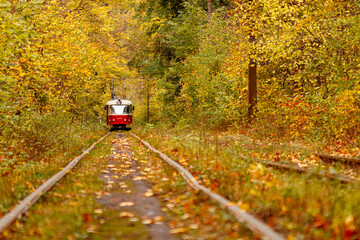 Fototapeta na wymiar Autumn forest through which an old tram rides (Ukraine)