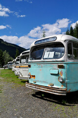 Vintage Buses