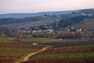 Fototapeta na wymiar Village viticole de Mercurey en Bourgogne
