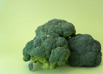Fresh broccoli on a green background. The concept of healthy food and vegetarian. Low calorie green...