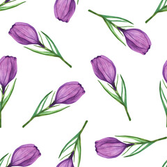 Watercolor illustration. Seamless pattern with spring flower. Purple crocus bud. Beauty of nature. Naturalness. For decoration, clothing, packaging and background. For woman and girl