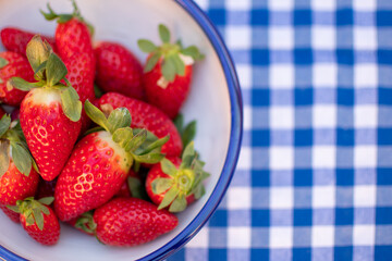 Bowl with strawberries on a blue checkered tablecloth