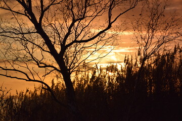 Słońce, woda , niebo