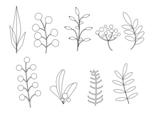 set of silhouettes of plants