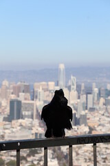 san francisco, californie