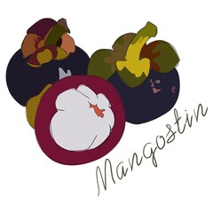 Mangosteen. Cartoon mangosteen isolated on white background.