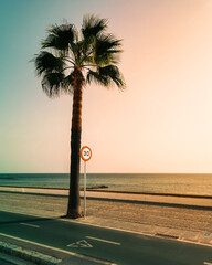 Cadiz, Andalusia. Spanish summer vibe at beach with palms in front of atlantic ocean. Speed limit...