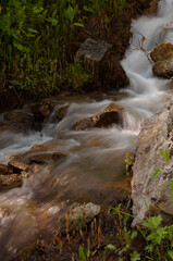 Obraz premium Kebler pass stream in the forest