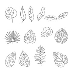 Doodle tropical leaves. Jungle leaves collection. Tropical hand drawn leaves