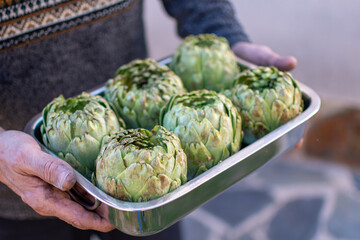 Man hands holding a tray with artichokes prepared for a barbecue.