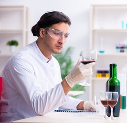 Male chemist examining wine samples at lab