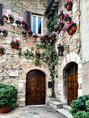 Fototapeta na wymiar Street view of medieval village Assisi, Umbria, Italy. Facade of old house covered with geranium in pots. Medieval town street view. Fragment of stone facade, covered with ivy, decorated with geranium