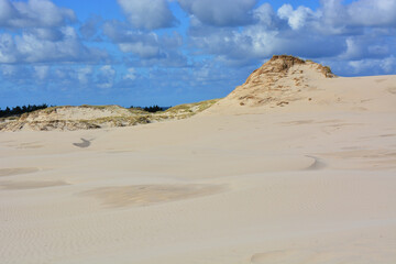 Fototapeta na wymiar Moving sand dunes in Slowinski National Park near Leba in Northern Poland