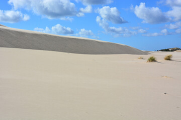 Moving sand dunes in Slowinski National Park near Leba in Northern Poland