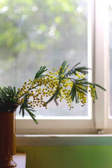 Vase with mimosa flowers on the table. Selective focus.
