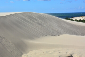 Moving sand dunes and Baltic Sea in Slowinski National Park near Leba in Northern Poland
