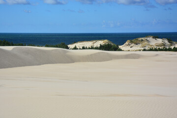 Moving sand dunes and Baltic Sea in Slowinski National Park near Leba in Northern Poland
