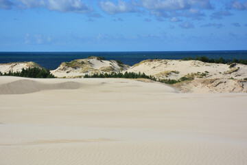 Moving sand dunes and Baltic Sea in Slowinski National Park near Leba in Northern Poland