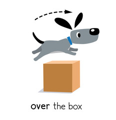 Preposition of movement. Dog jumps over the box