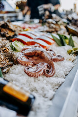 Fresh Octopus and piece of salmon lies on ice in the fish shop. Octopus for sale.
