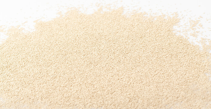 Dry and Raw Compressed Baking Yeast