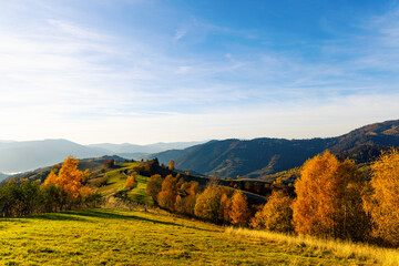 Ground road runs along wooden fence near trees in highland