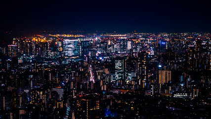 Aerial view of city skyline and office business building skyscraper Tokyo, Japan