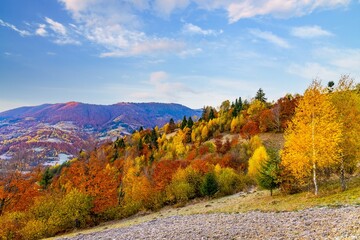Giant valley surrounded by forestry mountains in highland