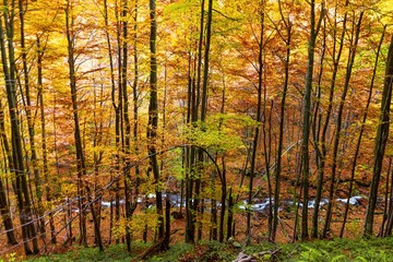 Beautiful Waterfall Shipot close-up in the autumn forest