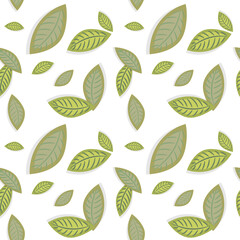 Seamless pattern with green leaves on a white background.Background for packaging on the eco theme, organic products. Vector.