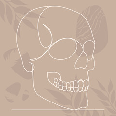 skull drawing in one line, on an abstract background, vector