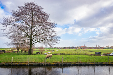 Idyllic polder landscape near the village of Reeuwijk, close to Gouda, Netherlands. - obrazy, fototapety, plakaty