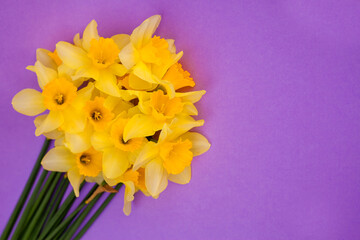 Bouquet of beautiful yellow daffodils on a foilette background. Space for text. The concept of the holiday. International Women's Day, March 8, birthday, mothers day. Greeting card. Trend Color 2022.