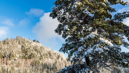 Sokolik peak in winter scenery