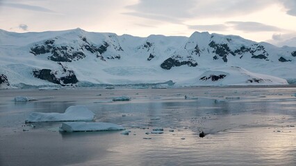 Arctic icebergs. Climate change and global warming. Melting glaciers in the Arctic and Antarctic.