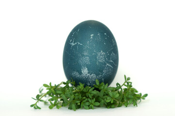 Blue Easter egg painted with red kale and green grass on white background