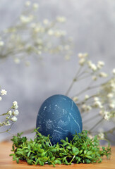 Blue Easter egg painted with red kale