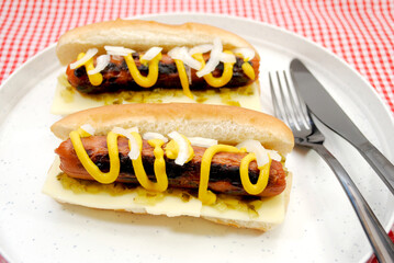 Hot Dogs with Onions, Relish and Mustard on a Plate	