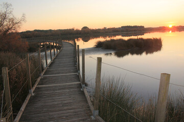 Wooden pontoon and Camargue marshes at sunset