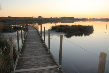 Fototapeta na wymiar Wooden pontoon and Camargue marshes at sunset