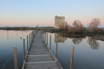 Carbonniere tower, stone, stone gate, fortification, Aigues Mortes, Camargue, Gard, Occitanie, walled town, wetlands, medieval construction, medieval architecture, france
