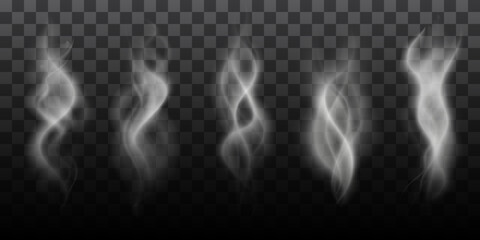 Steam smoke shapes. Smoking vapor streams, steaming vaping ring and vapor waves translucent realistic PNG