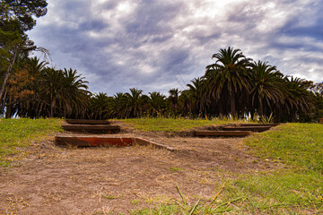 beach with trees and palms