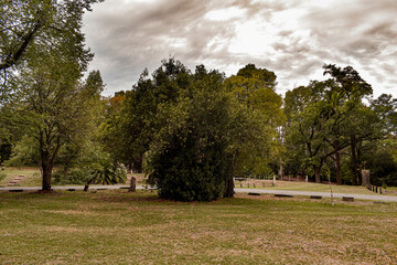 Cloudy day in the park