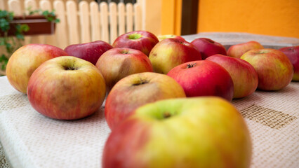 Organic yellow-red apples on the backyard table.