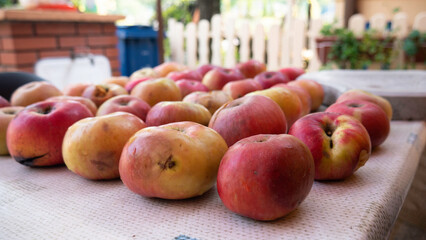 Apples on the garden table. 